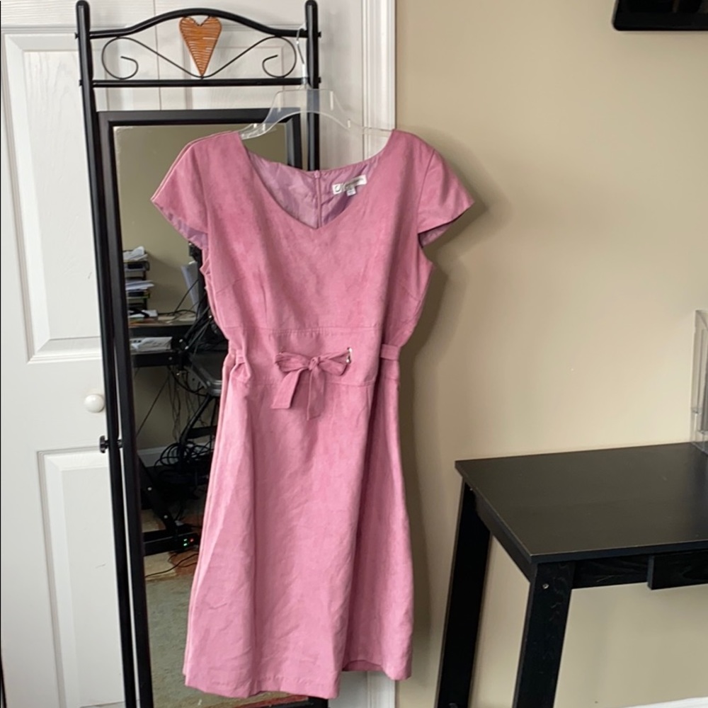 Soft Pink Suede Cap Sleeved Dress